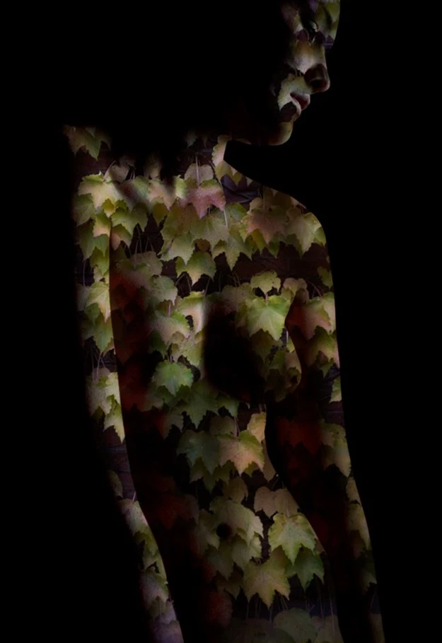 Miriana Mitrovich | Bulgarian-born Canadian Abstract photographer Miriana Mitrovich | Bulgarian-born Canadian Abstract photographer