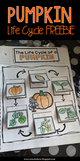 Pumpkin Life Cycle Freebie