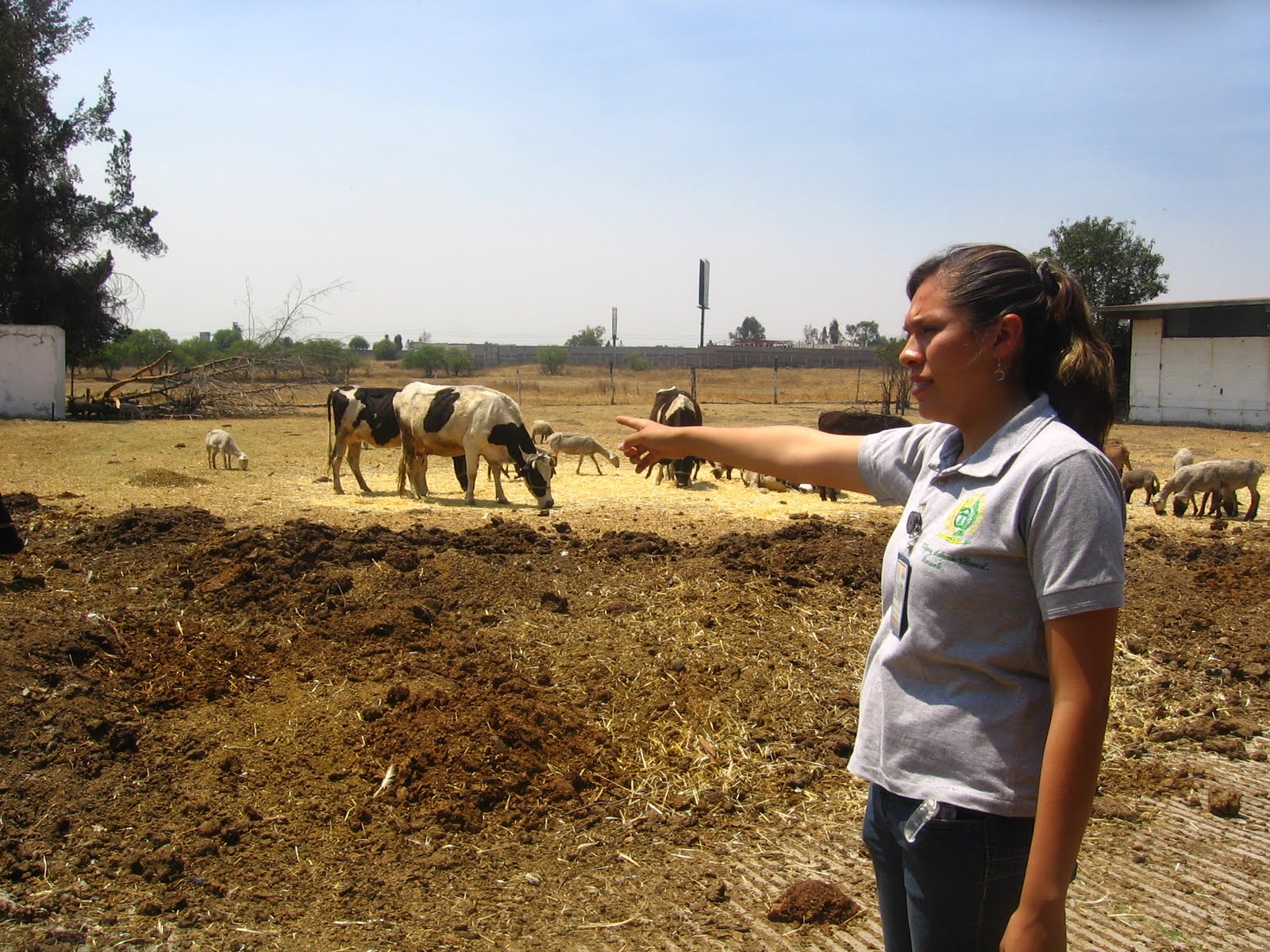 agencia-manl-el-70-por-ciento-de-egresados-de-la-cbta-35-continuan-sus