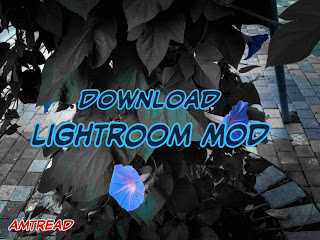Download Apk Lightroom Mod Download Apk Lightroom Mod