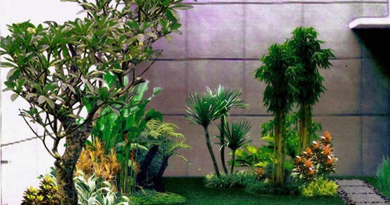 taman minimalis di lahan sempit - Desain Interior Terbaru