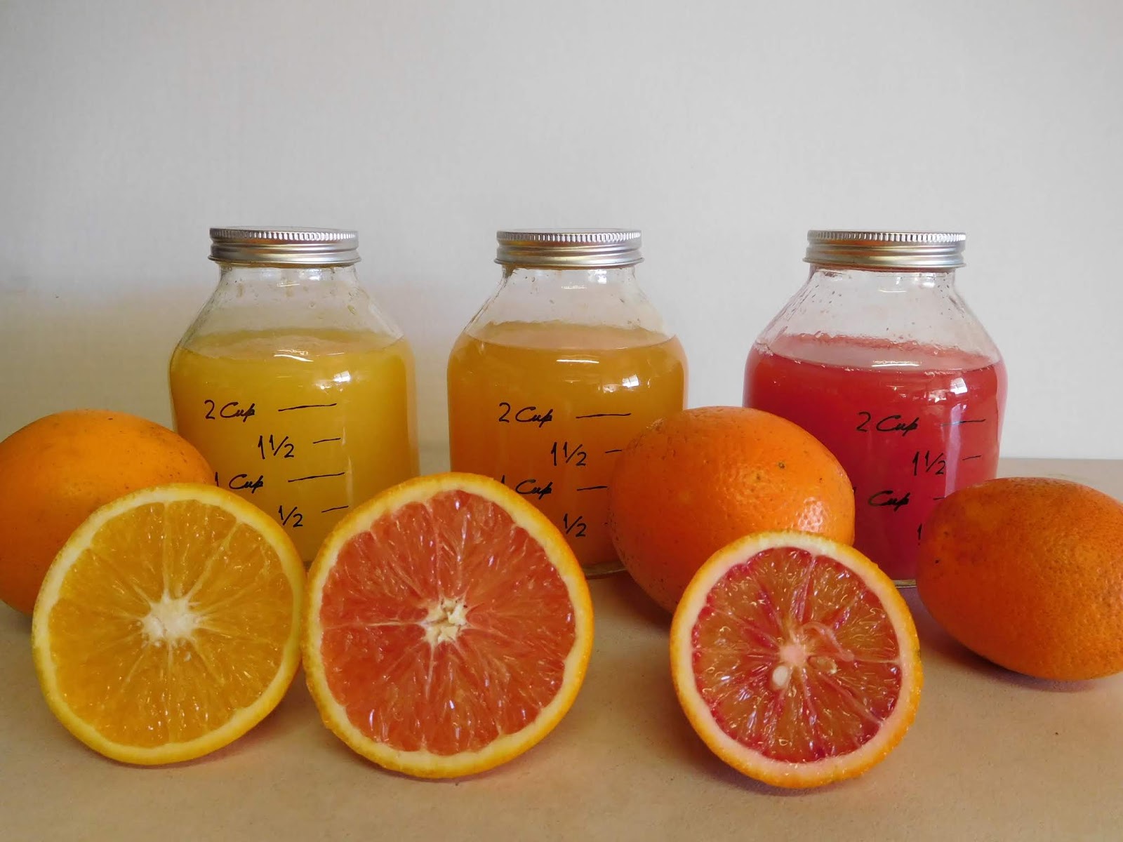 Daleys Fruit Tree Blog Orange Fruit Trees in the News Macular