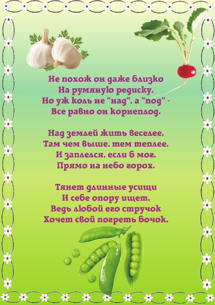 Шуточные Поздравления С Овощ