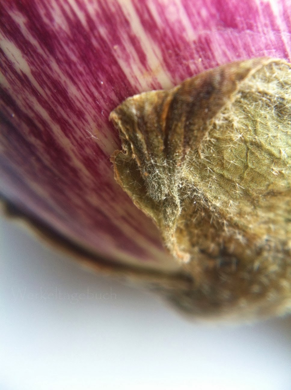 12 Und Tschuss 40 Folsom Pdf Kostenfreier Download