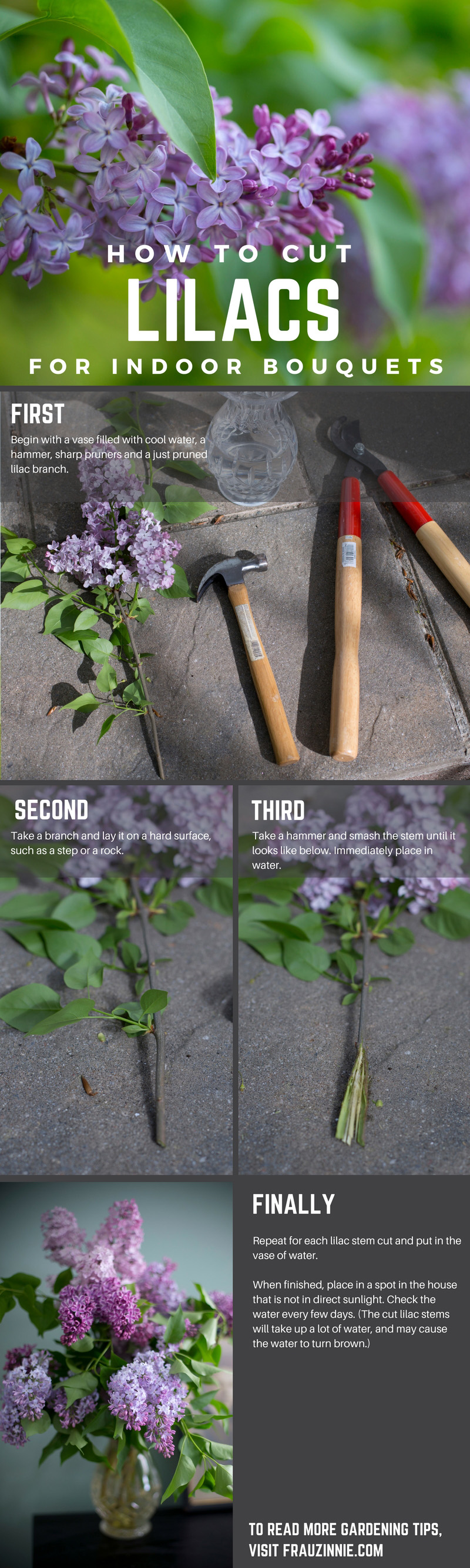 For Mother's Day, give mom lilacs from the garden Frau Zinnie