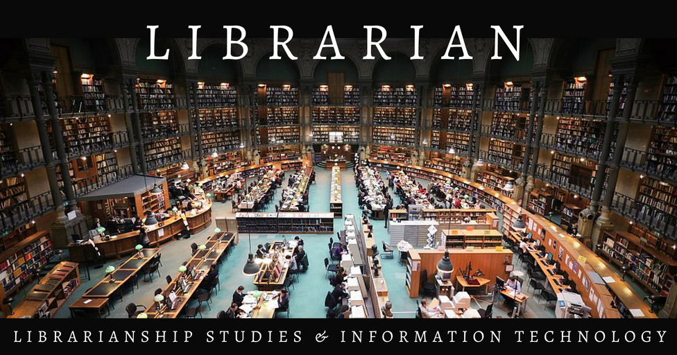 systems librarian roles systems librarian roles