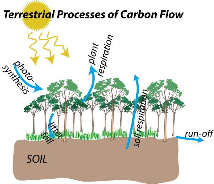 Carbon Land Soil Organic Matter U2013 Decomposition Rates