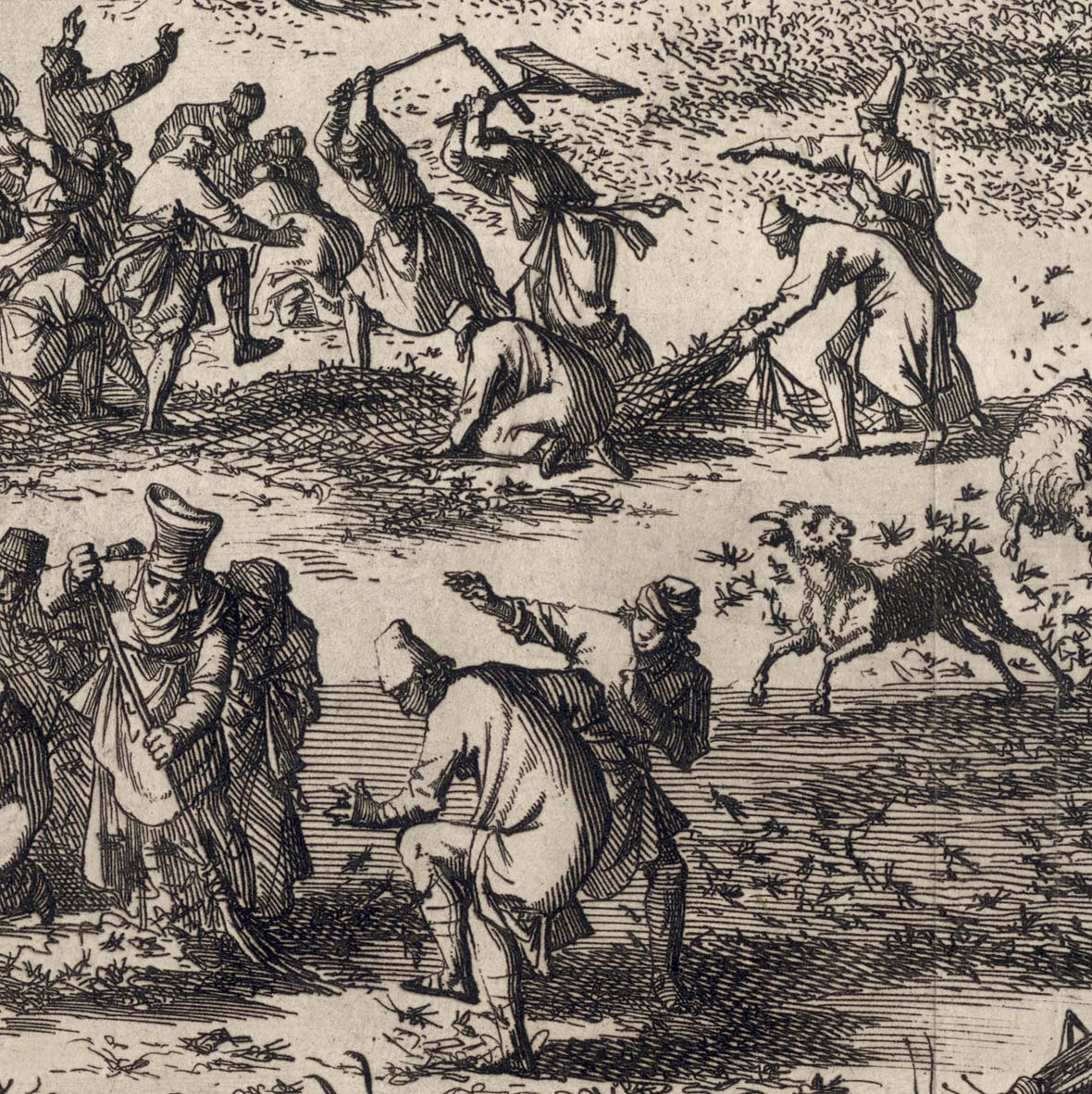 Prints and Principles: Jan Luyken’s engraving, “The Plague of Locusts
