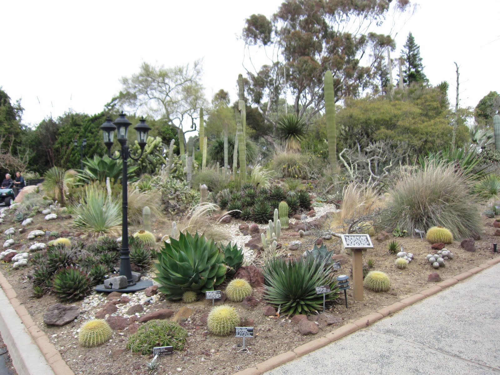 Where Is Darren Now? San Diego Botanic Garden