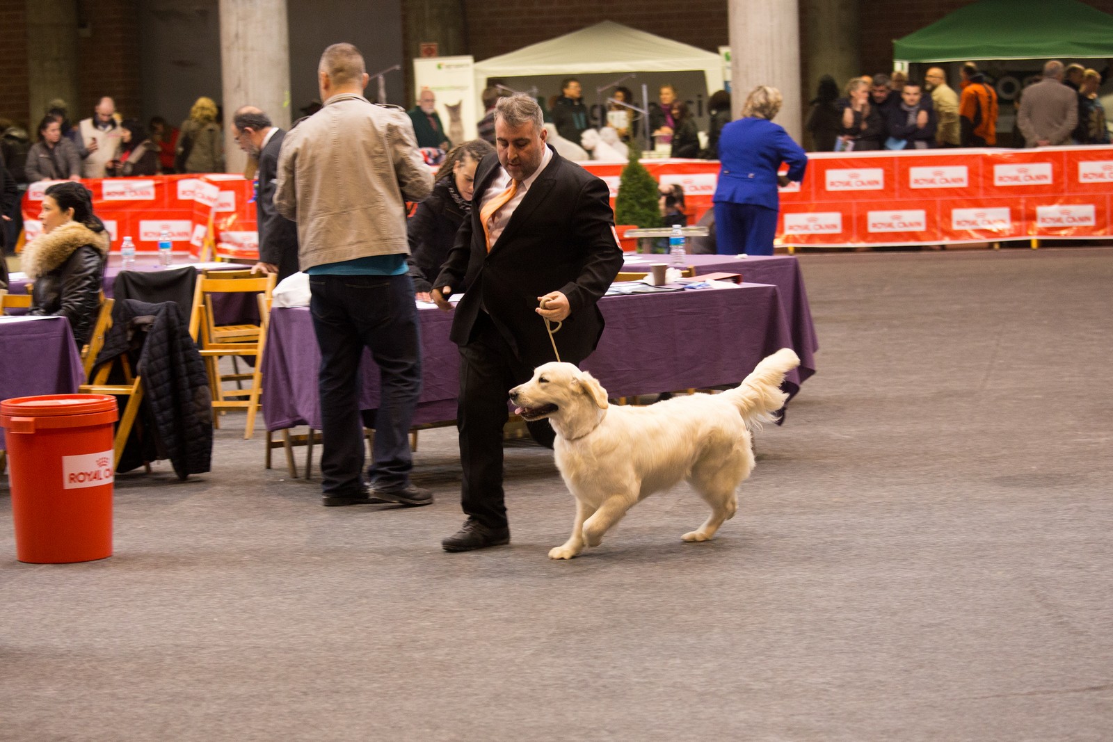 XIX выставка собак в Жироне