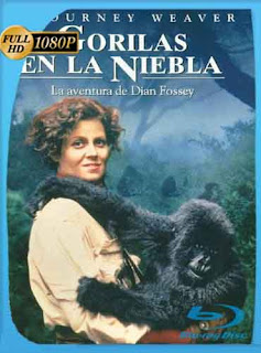 Gorilas en la niebla (1988) HD [1080p] Latino [GoogleDrive] chapelHD