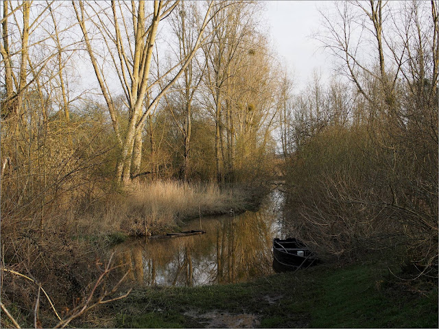Massérac, le marais du Don