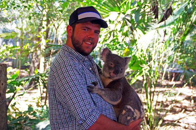 Dan with a Koala at Lone Pine Koala Sanctuary