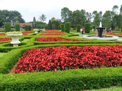 Jasa Tukang Taman Surabaya Taman Gaya Eropa