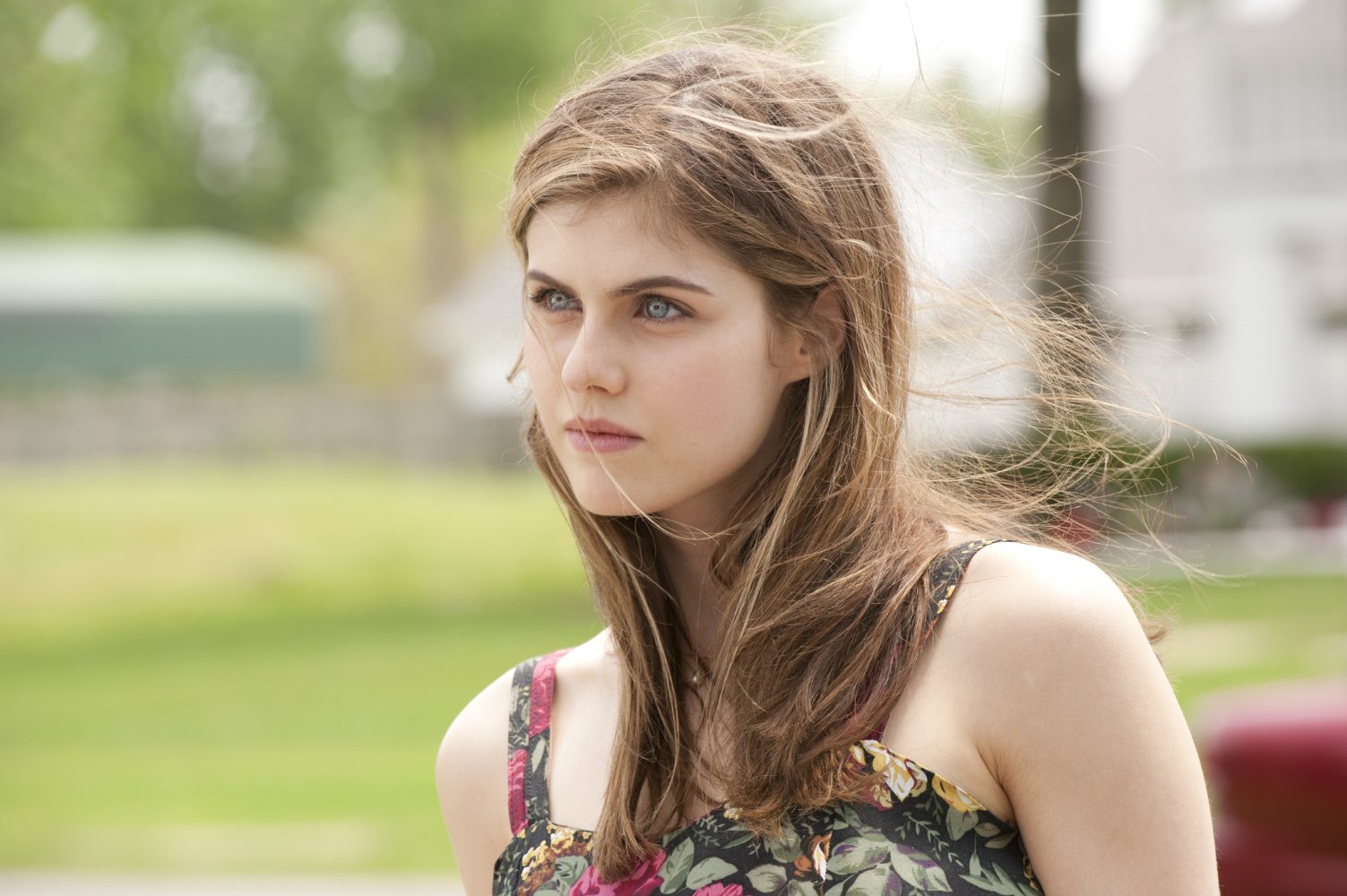 Alexandra Daddario (16 March 1986, New York City, New York, USA) movies