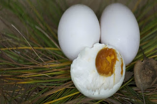  Karena telur angsa ini biasa disajikan bersama soto atau rawon Resep Membuat Telur Asin Khas Sidoarjo