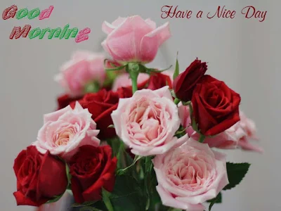 Good-Morning-Hot-Wishes-Cards-pic