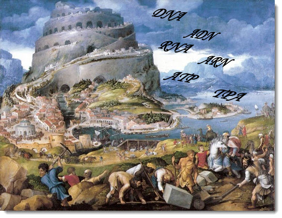 torre de Babel y la IUPAC torre de Babel y la IUPAC