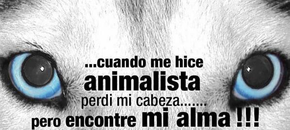 Animalista