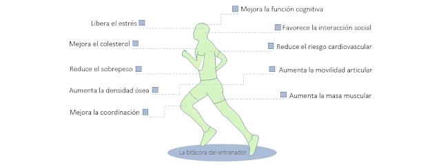 Beneficios y efectos del ejercicio físico sobre la salud