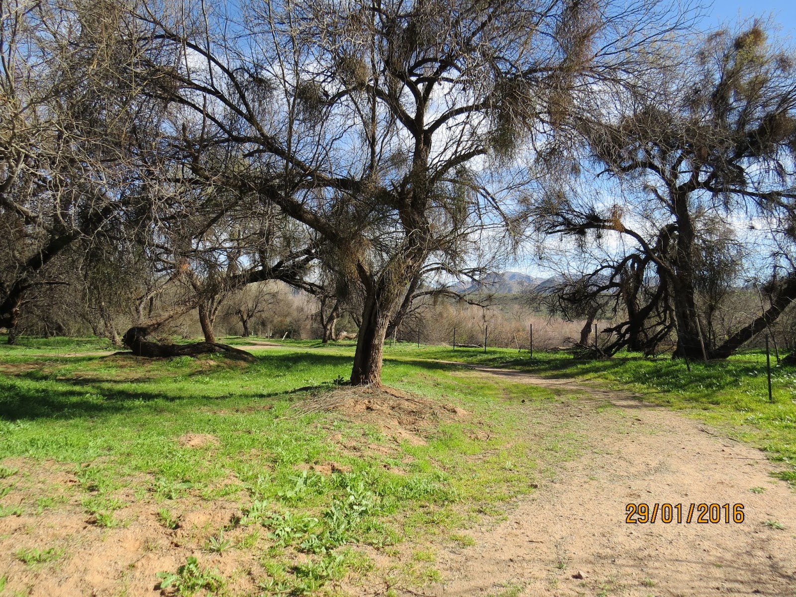 Babs' Birding Experiences Needle Rock and Box Bar Recreation Areas