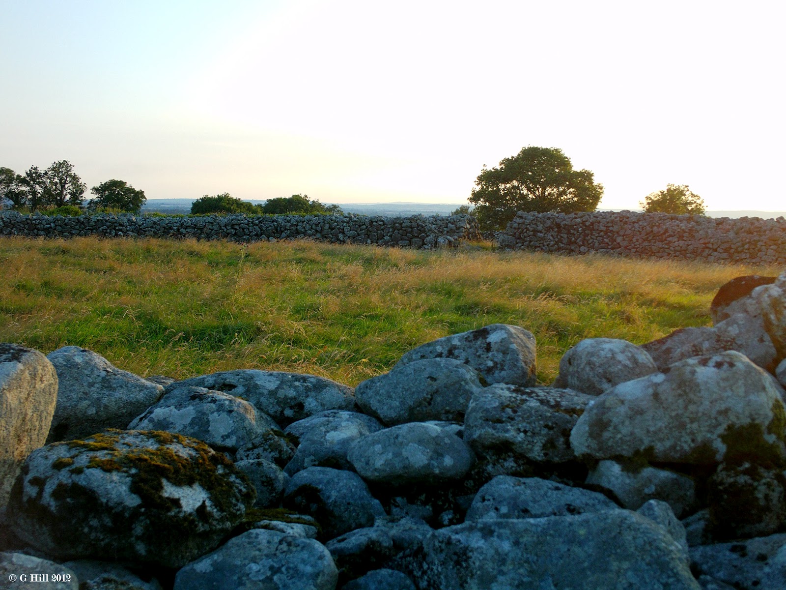 Ireland In Ruins: The Ring Of Rath Co Wicklow