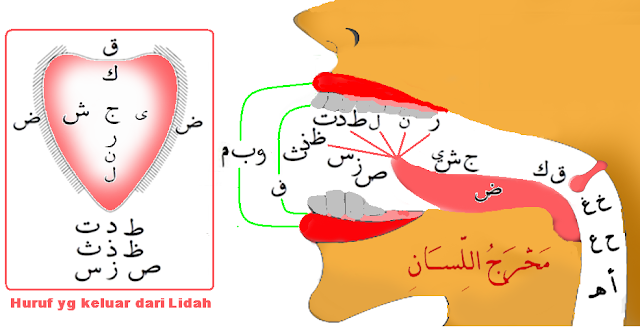 Makharijul Huruf Makharijul Huruf