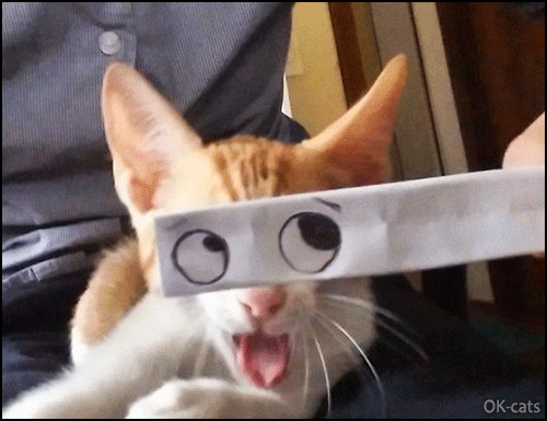 Art Cat GIF • Derpy cat with rolling eye. Why? Because high on catnip :) Art Cat GIF • Derpy cat with rolling eye. Why? Because high on catnip :)