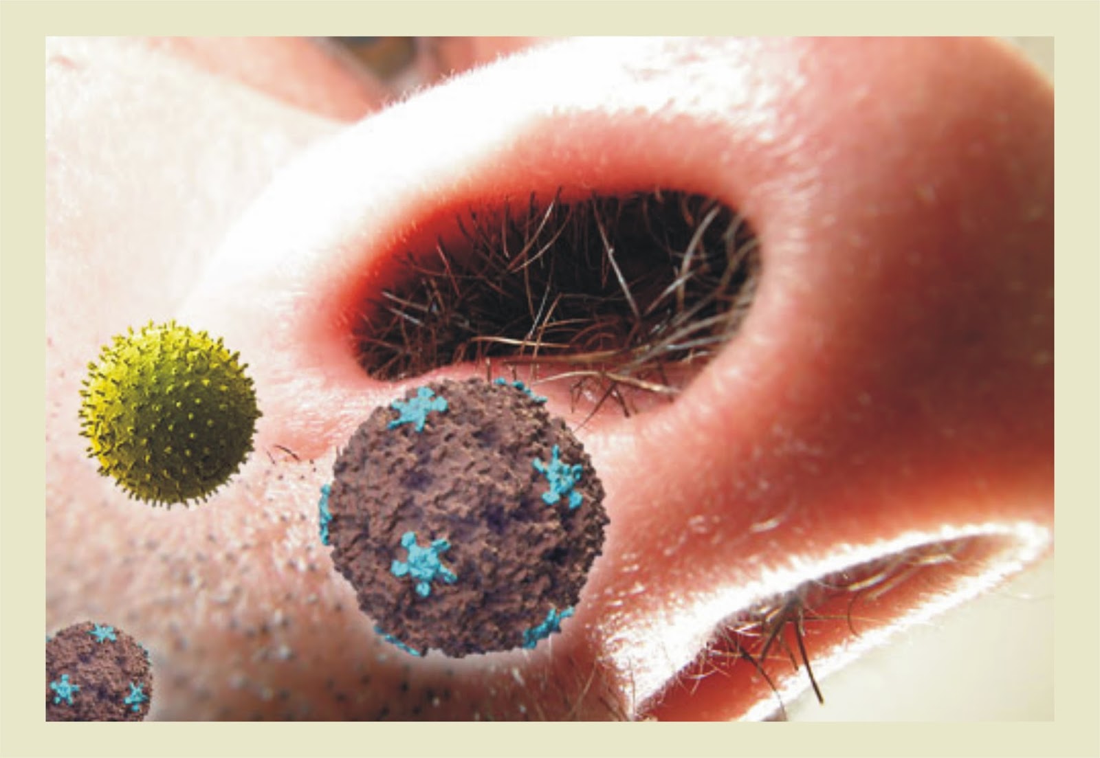 Засохшие сопли в носу. Микробы в носу под микроскопом. Бактерии в носу под микроскопом.