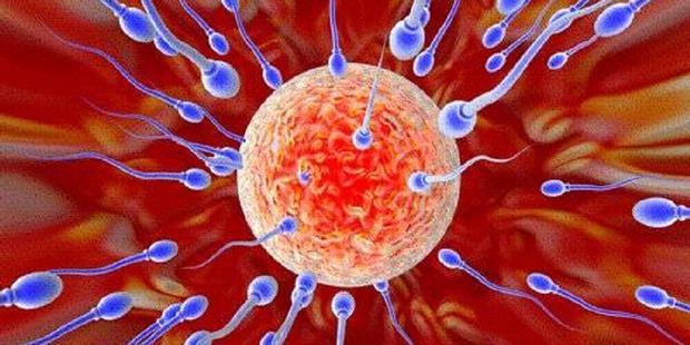 Berita Terkini Terbaru - Tips agar Sperma Berkualitas biar Istri Cepat Hamil Punya Momongan , Hindari Kenakan Jins Ketat - Berita hot hari ini