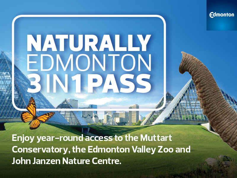 ReuseIt Edmonton WasteLess Gift Guide