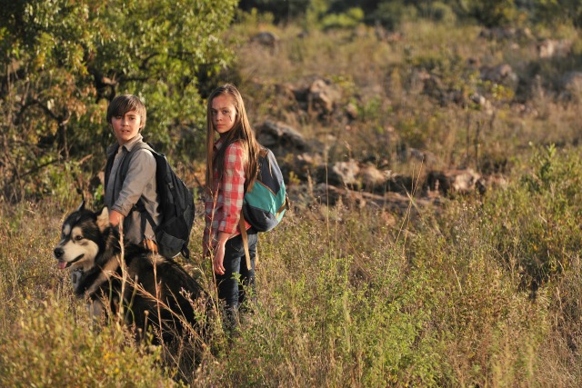 screenshot from Against the Wild 2: Survive the Serengeti movie