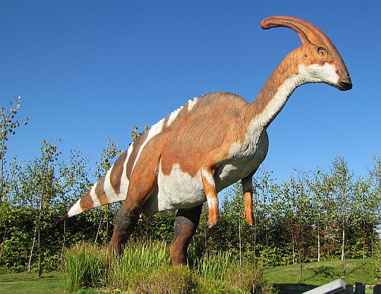 Parazaurolof (Parasaurolophus)