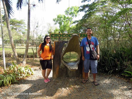 Puerto Princesa Travel Guide: exploring every corner of the Palawan Wildlife and Conservation Center