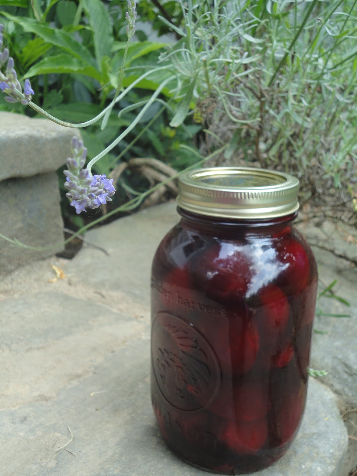 Heating Heating Jars And Lids For Canning