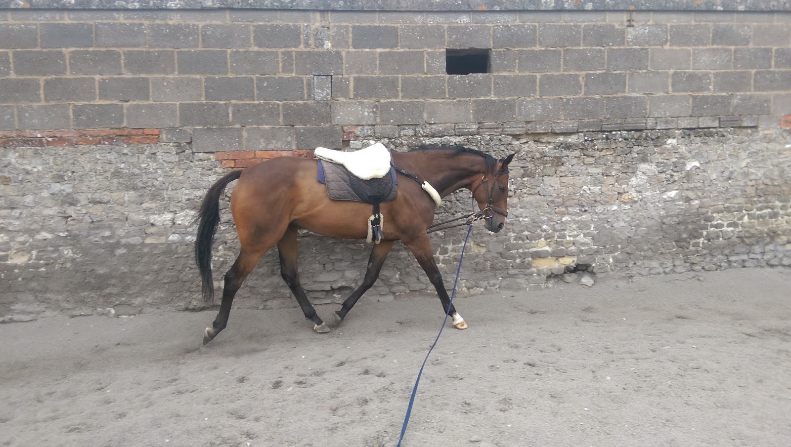 Simon Earle Racing August 2015