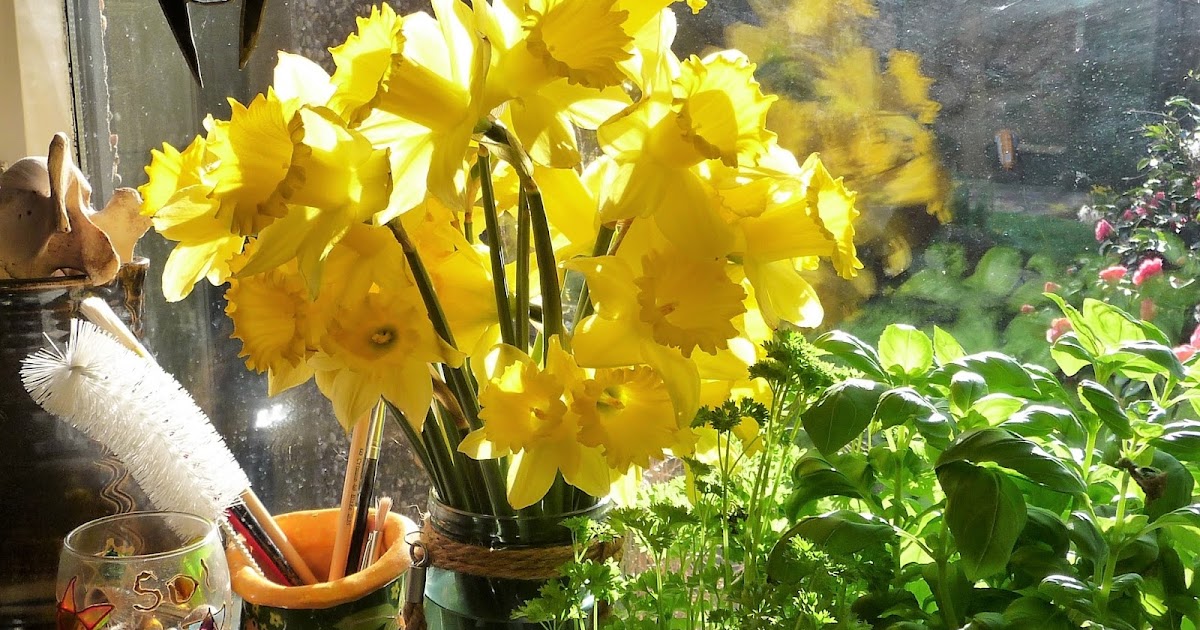 Wool Tribulations of Hand Spinning and Herbal Dyeing Picking