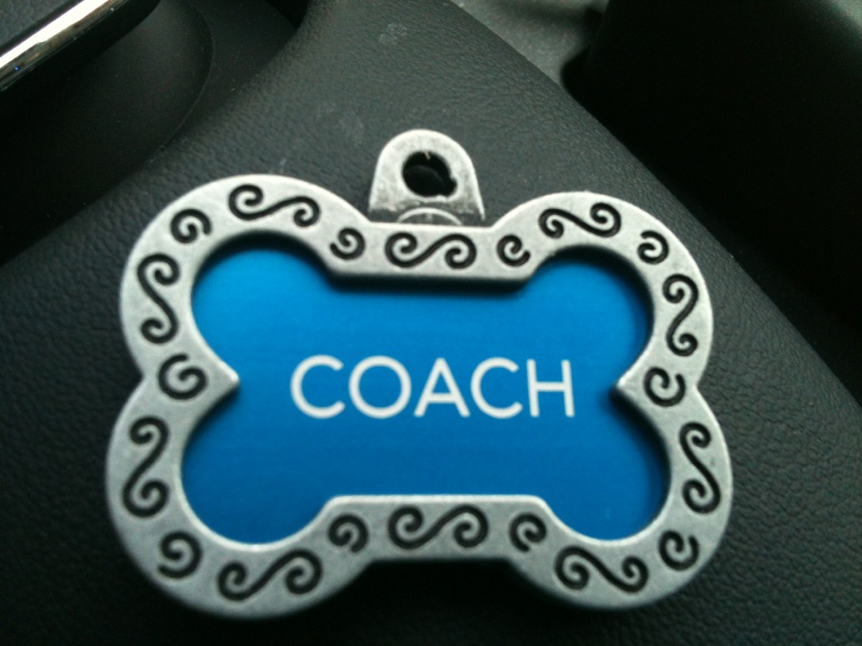 McLean Puppy Chronicles Introducing Coach!