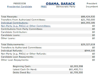 American Federal Politics - Only the Rich Need Apply