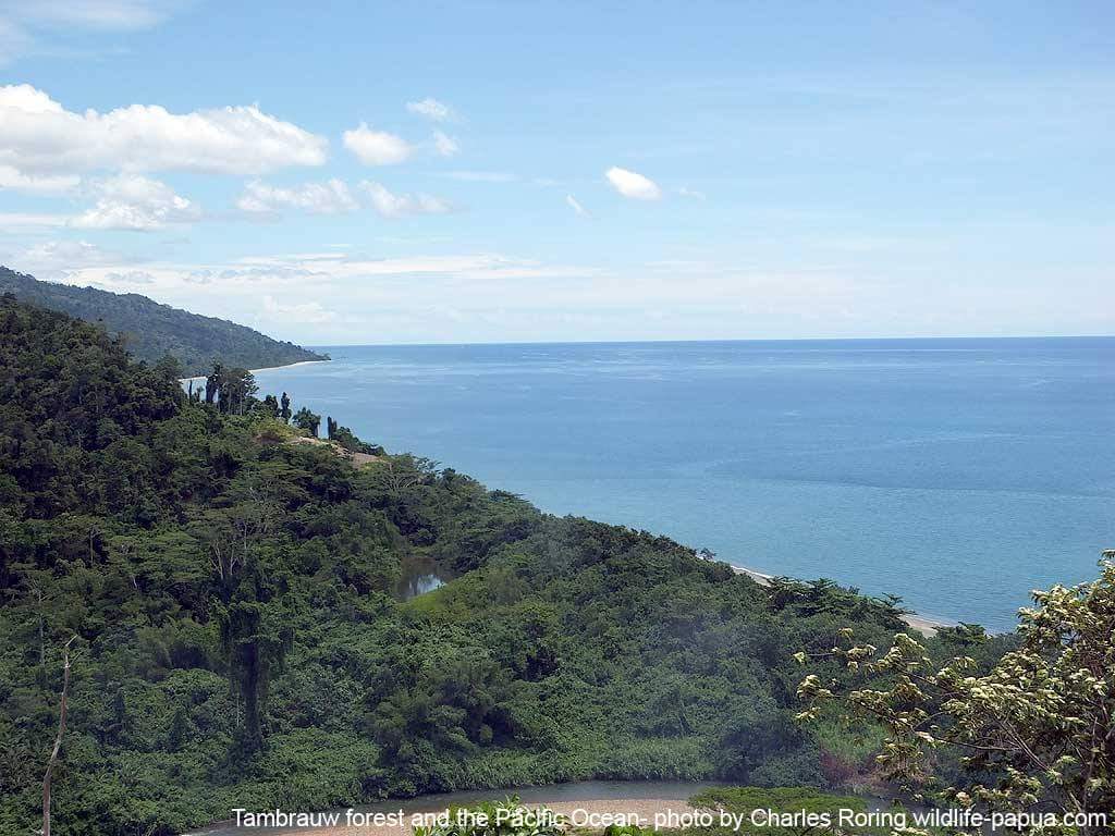 Life and Vibration of Nature: Camping and Birding Tour in the Forest of