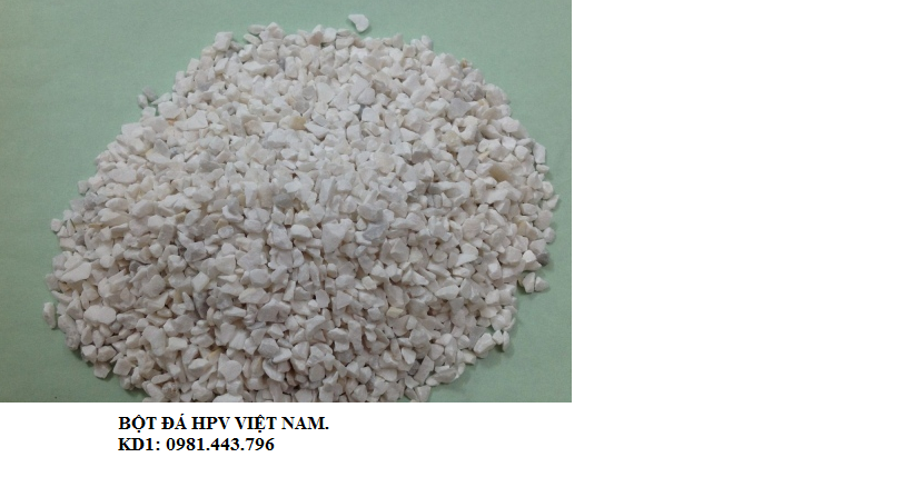 Bột đá CaCO3: Cung cấp đá hạt 1-3mm trong sản xuất thức ăn chăn nuôi và ...