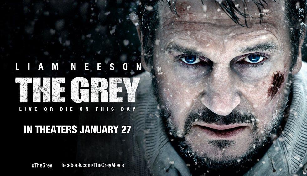 Download Film The Grey Sub Indo Terbaru