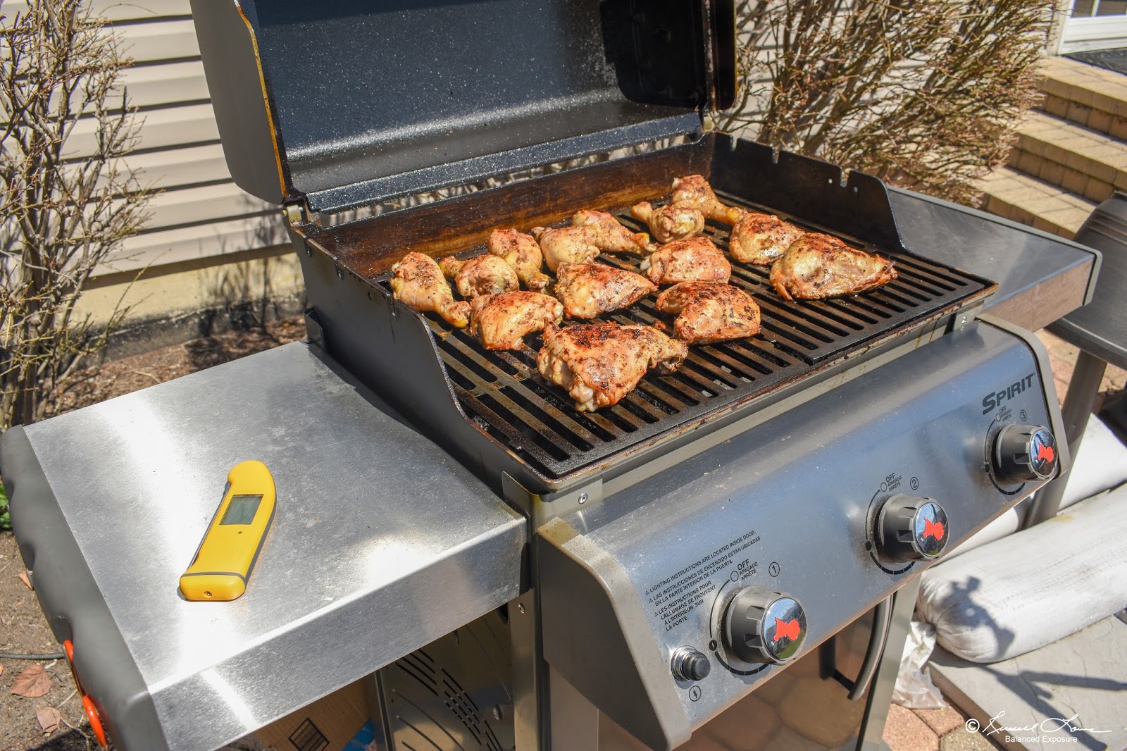 Russ' Culinary Adventures Chicken Leg Quarters on the er Spirit E