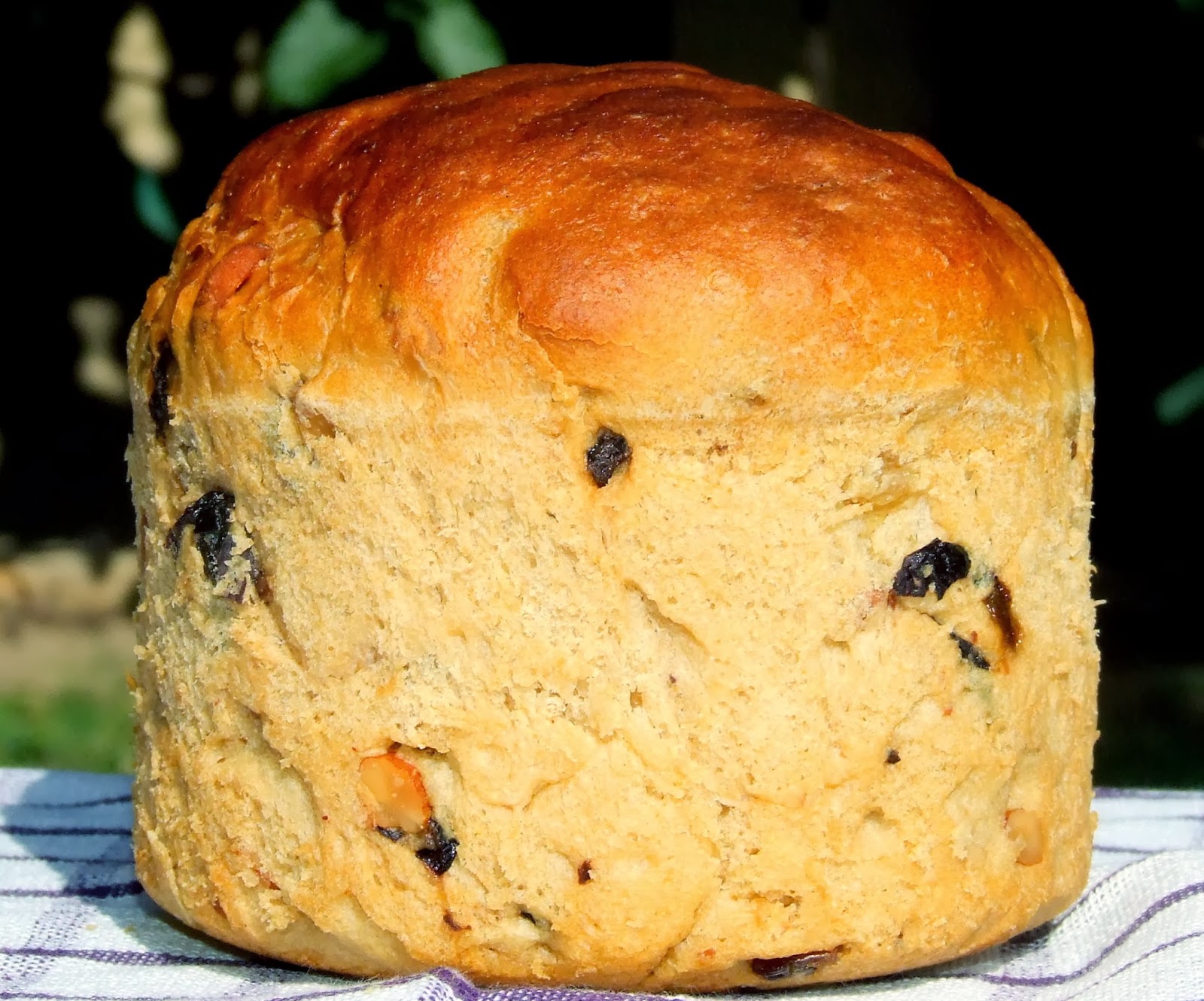 Whole Wheat Fruit and Nut Bread (Vegan) Ambrosia