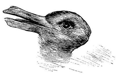 What do you see? A Rabbit or Duck? What do you see? A Rabbit or Duck?