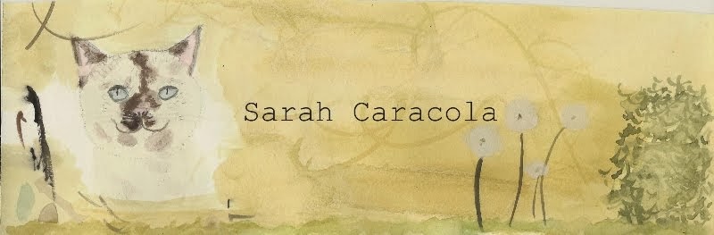 Sarah Caracola