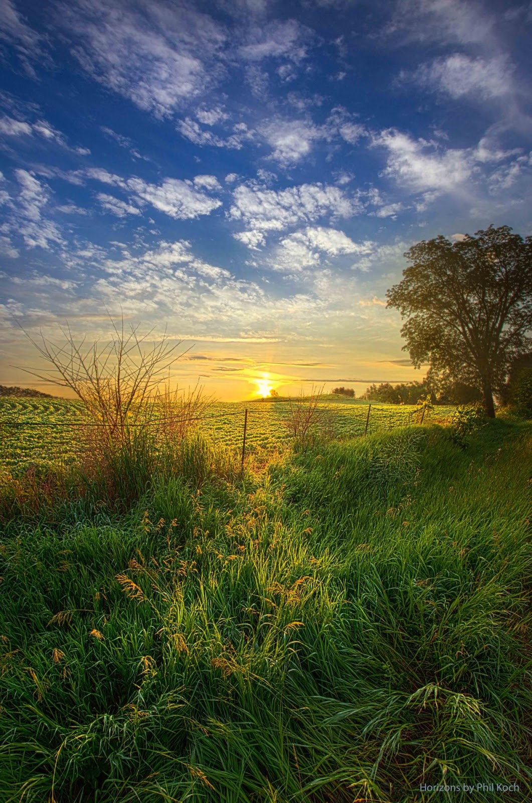 Sunrise in Fields Marvelous Nature