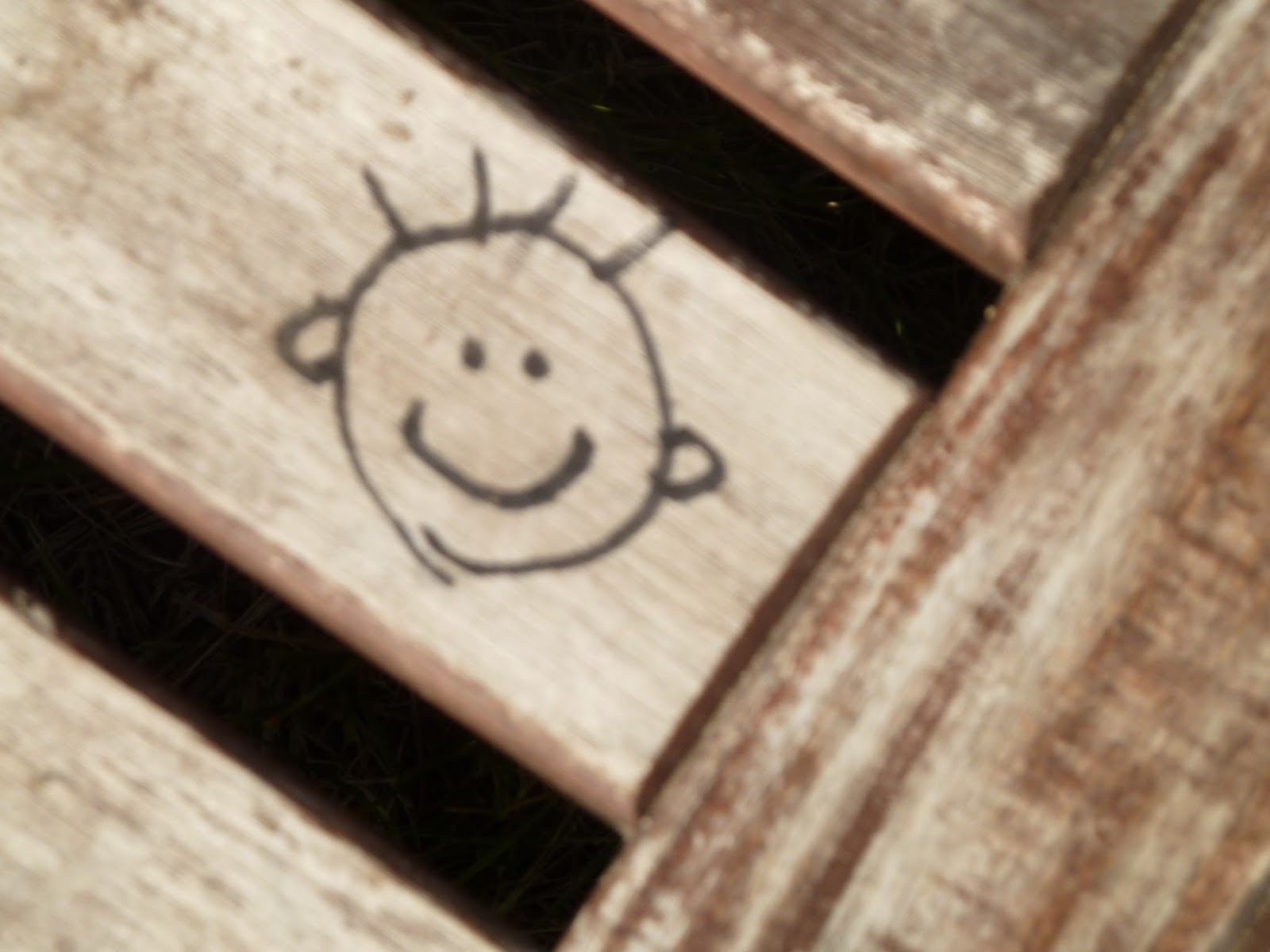 Anschauen und freuen: Anke Domscheit-Berg wagt den großen Wurf