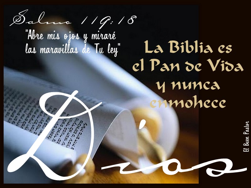 YO SOY EL BUEN PASTOR Salmo 119 18 yo-soy-el-buen-pastor-salmo-119-18