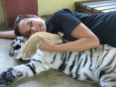 Ploy with a Baby Tiger